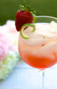 cocktails_don_diego