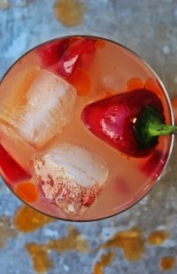 cocktails_don_diego