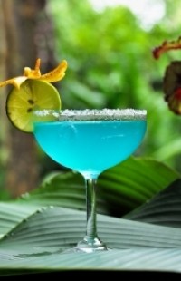 cocktails_don_diego