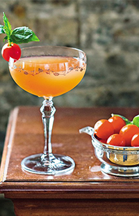 cocktails_don_diego