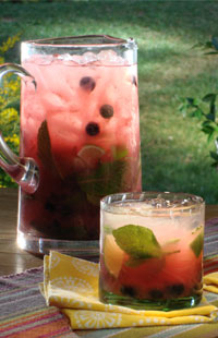cocktails_don_diego